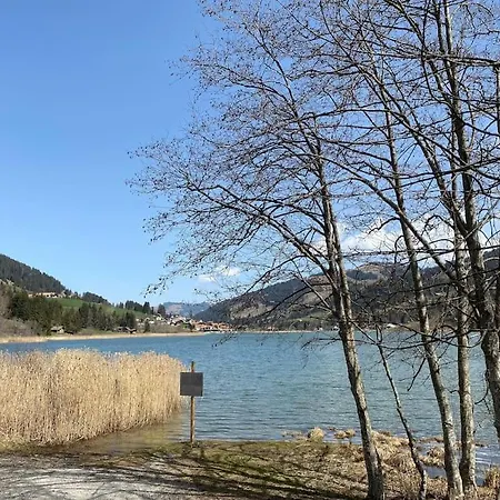 Wohnen Mit Blick Auf Eiger - Ehemaliges - 2 Schlafzimmer 公寓