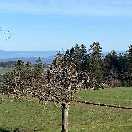 Appartement Wohnen Mit Blick Auf Eiger - Ehemaliges - 2 Schlafzimmer