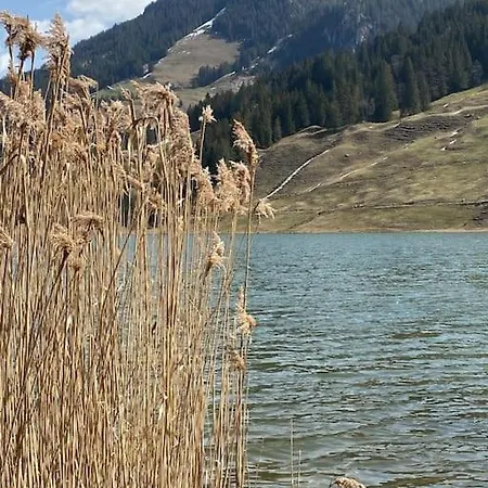 Wohnen Mit Blick Auf Eiger - Ehemaliges - 2 Schlafzimmer