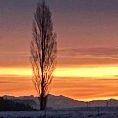 Wohnen Mit Blick Auf Eiger - Ehemaliges - 2 Schlafzimmer アパート