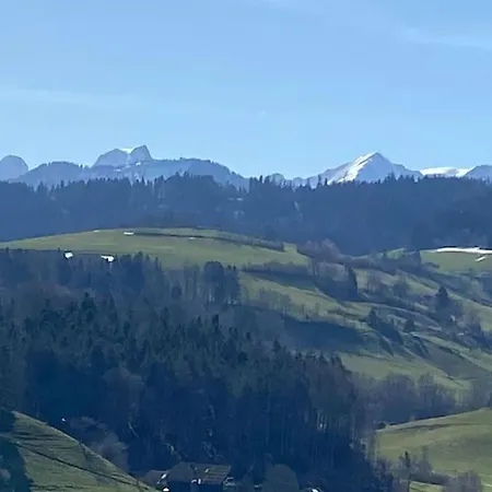 公寓 Wohnen Mit Blick Auf Eiger - Ehemaliges - 2 Schlafzimmer 斯科瓦博格