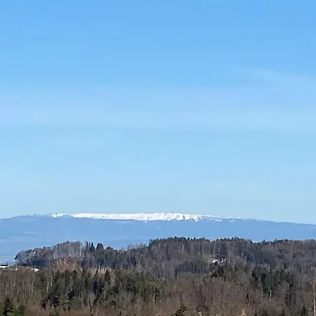 Apartment Wohnen Mit Blick Auf Eiger - Ehemaliges - 2 Schlafzimmer *