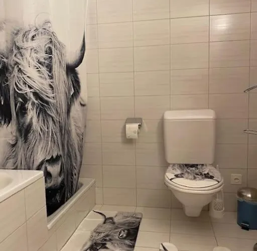 Wohnen Mit Blick Auf Eiger - Ehemaliges - 2 Schlafzimmer アパート Schwarzenburg