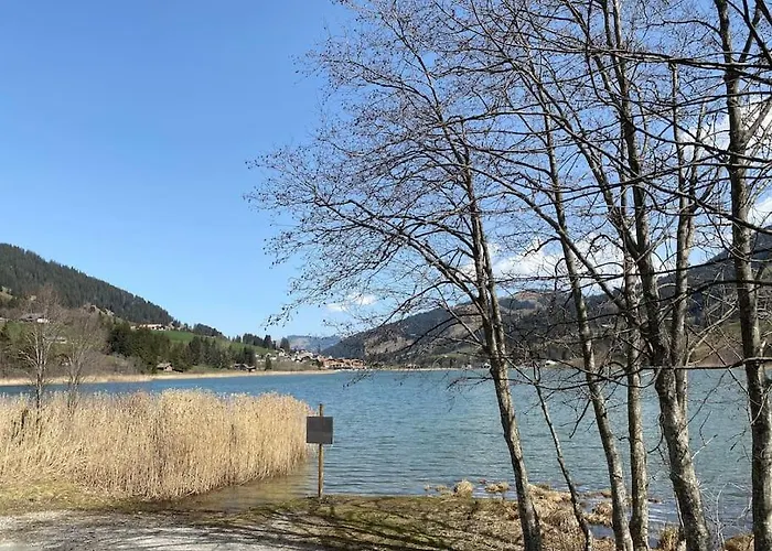 Wohnen Mit Blick Auf Eiger - Ehemaliges - 2 Schlafzimmer アパート