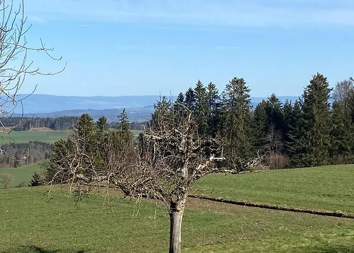 アパート Wohnen Mit Blick Auf Eiger - Ehemaliges - 2 Schlafzimmer