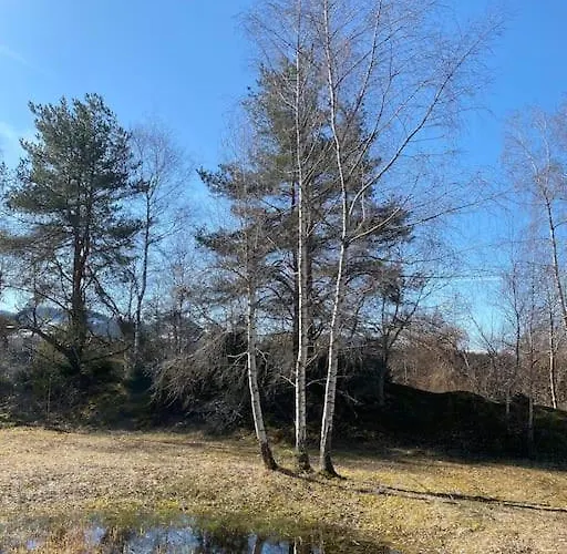 Wohnen Mit Blick Auf Eiger - Ehemaliges - 2 Schlafzimmer アパート