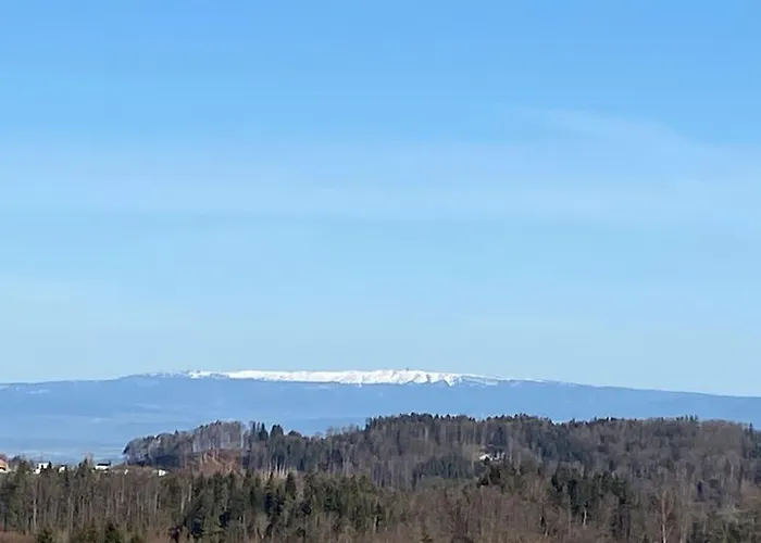 アパート Wohnen Mit Blick Auf Eiger - Ehemaliges - 2 Schlafzimmer *