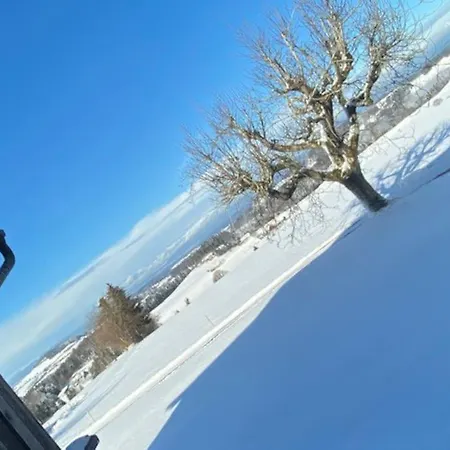 Wohnen Mit Blick Auf Eiger - Ehemaliges - 2 Schlafzimmer * Schwarzenburg