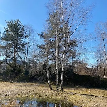 Wohnen Mit Blick Auf Eiger - Ehemaliges - 2 Schlafzimmer Daire